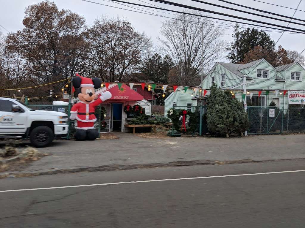 North Stamford Christmas Trees | 1392 High Ridge Rd, Stamford, CT 06903, USA | Phone: (203) 952-3797