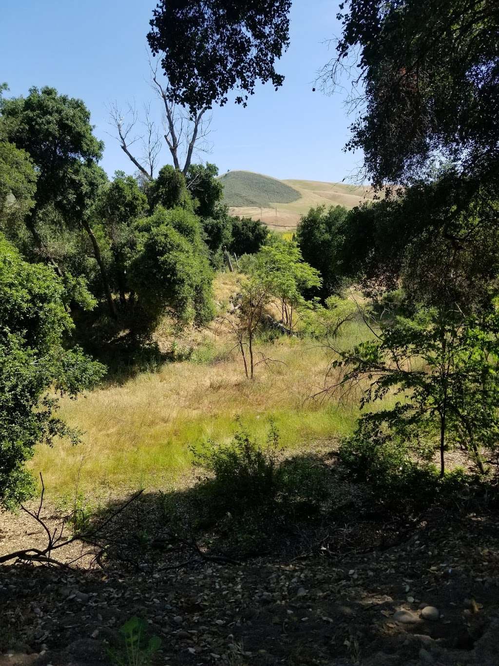 continuation of Coyote creek trail on Coyote ranch road | Coyote Ranch Rd, Coyote, CA 95013, USA