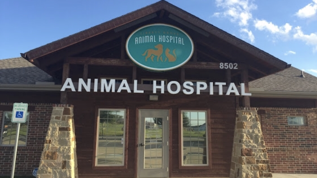 Liberty Grove Animal Hospital | 8502 Liberty Grove Rd, Rowlett, TX 75089, USA | Phone: (214) 607-4500