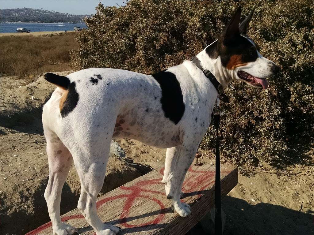 Hunting ,Training Area , North End | 493 Fiesta Island Rd, San Diego, CA 92109, USA