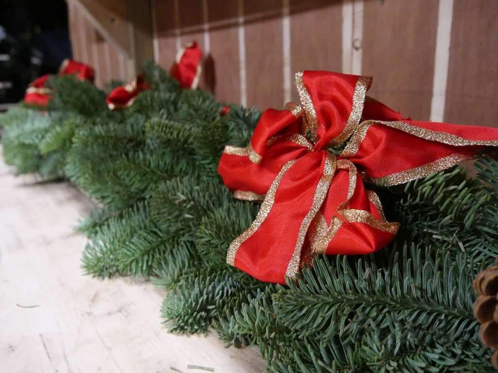 Pines and Needles | KENWOOD HOUSE, Hampstead Lane, Highgate, London NW3 7JR, UK | Phone: 020 3598 4877
