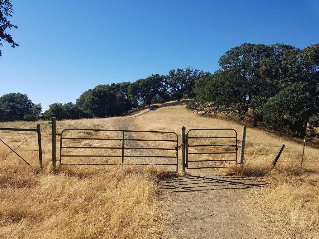 Briones Regional Park | 2537 Reliez Valley Rd, Martinez, CA 94553 | Phone: (888) 327-2757