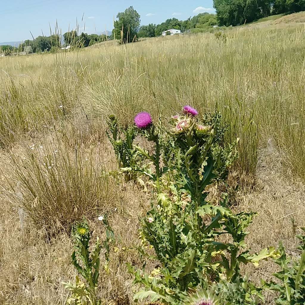 Old St. Louis Natural Area | 1010 S St Louis Ave, Loveland, CO 80537, USA