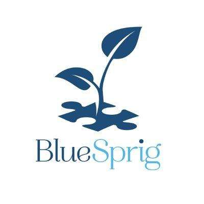 BlueSprig | 8811 West Ln, Magnolia, TX 77354, USA | Phone: (936) 206-5158