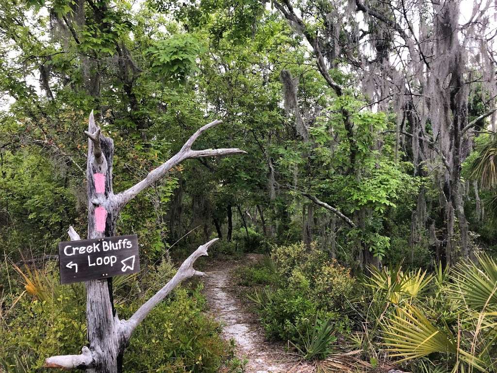 Creek Bluffs Loop Trail, Tiger Creek Preserve | 8373-8399 Wakeford Rd, Lake Wales, FL 33898, USA | Phone: (863) 635-7506