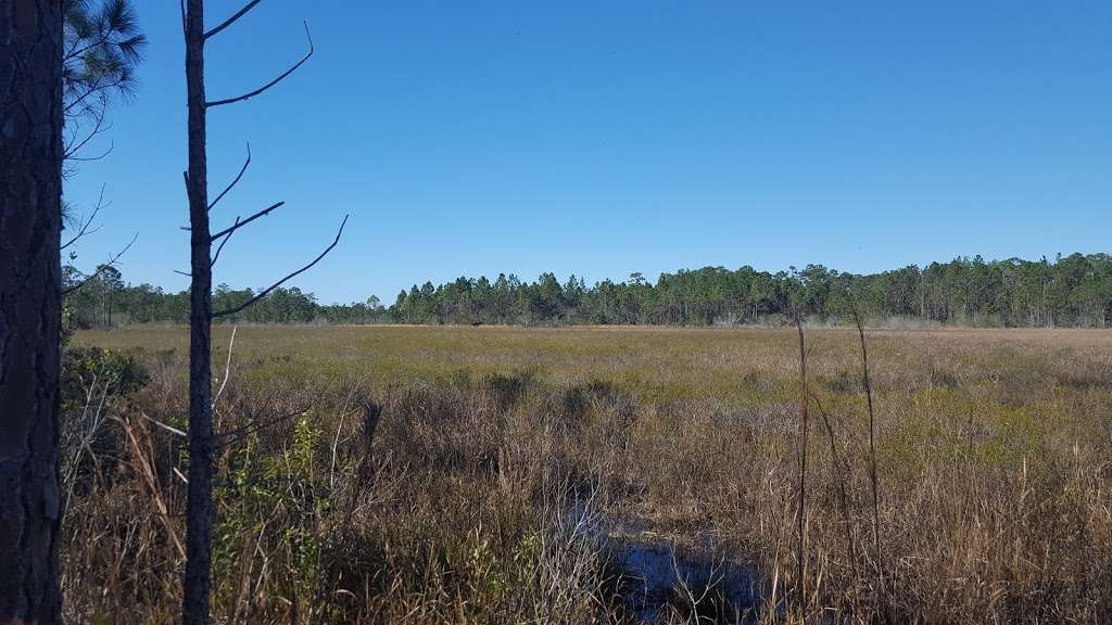 Lake Lizzie Conservation Area | 6800-6808 Midland Dr, St Cloud, FL 34771 | Phone: (407) 742-0200