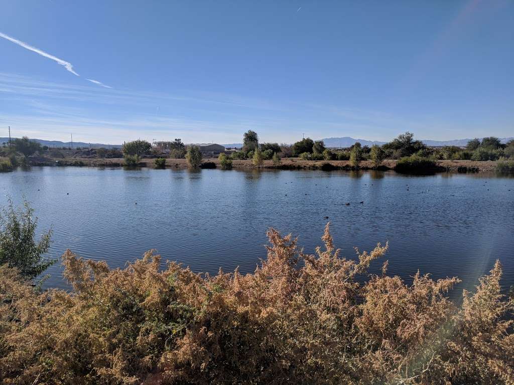 Henderson Bird Viewing Preserve | 350 East Galleria dr., Henderson, NV 89011, USA | Phone: (702) 267-4180