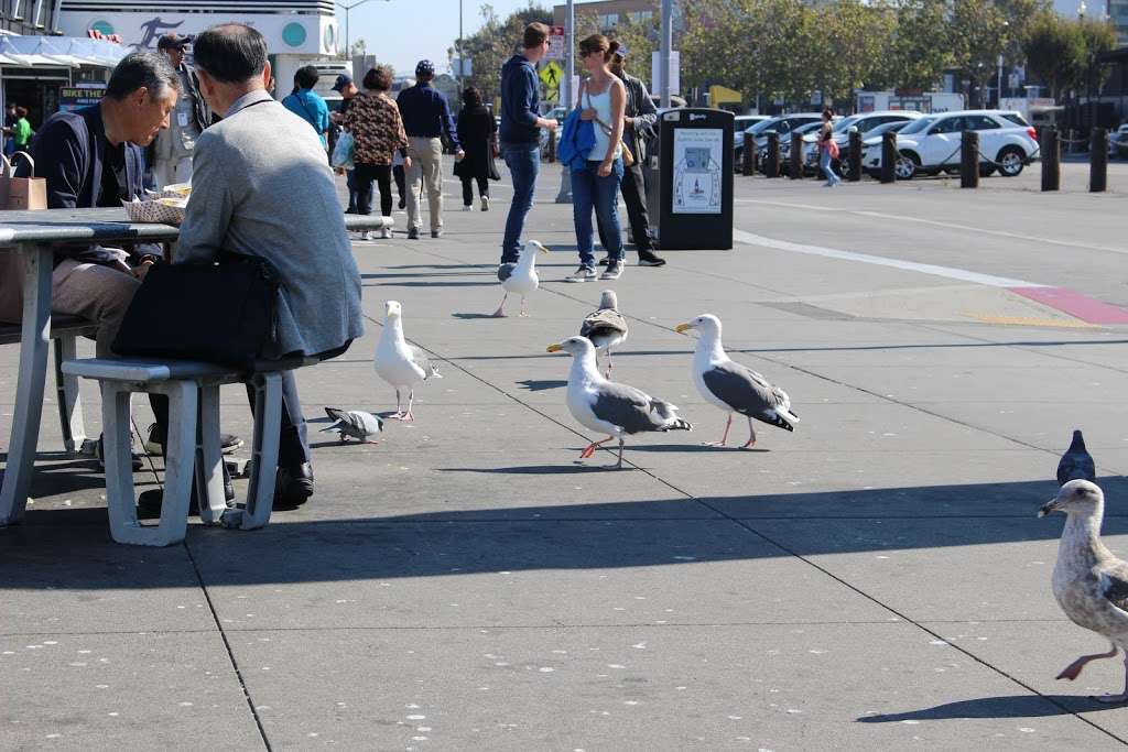 Simco Group | Pier 39 Beach St #213, San Francisco, CA 94133, USA | Phone: (415) 982-5872