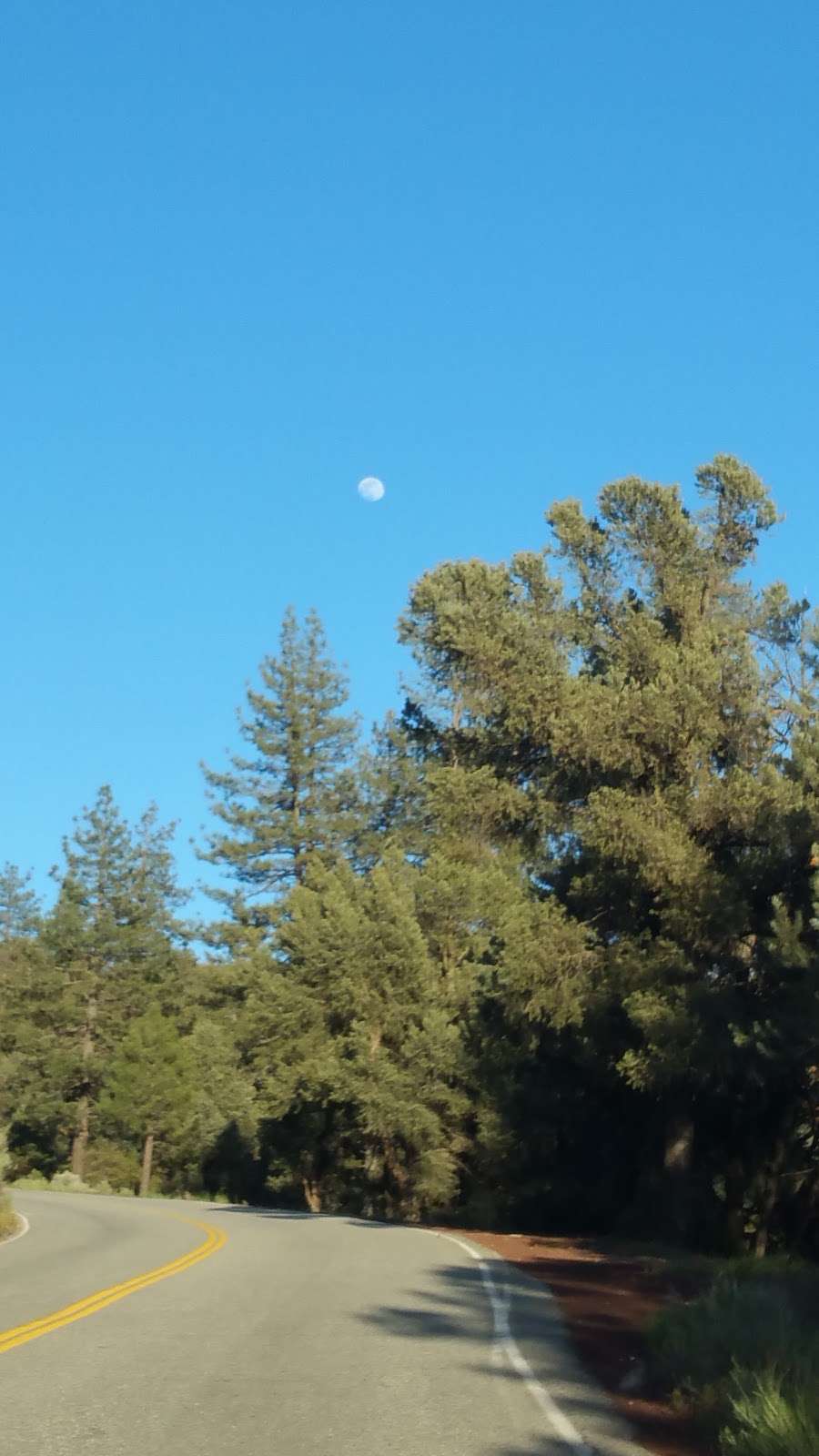 Mt Pinos vehicle meeting spot | Mil Potrero Hwy, Frazier Park, CA 93225, USA