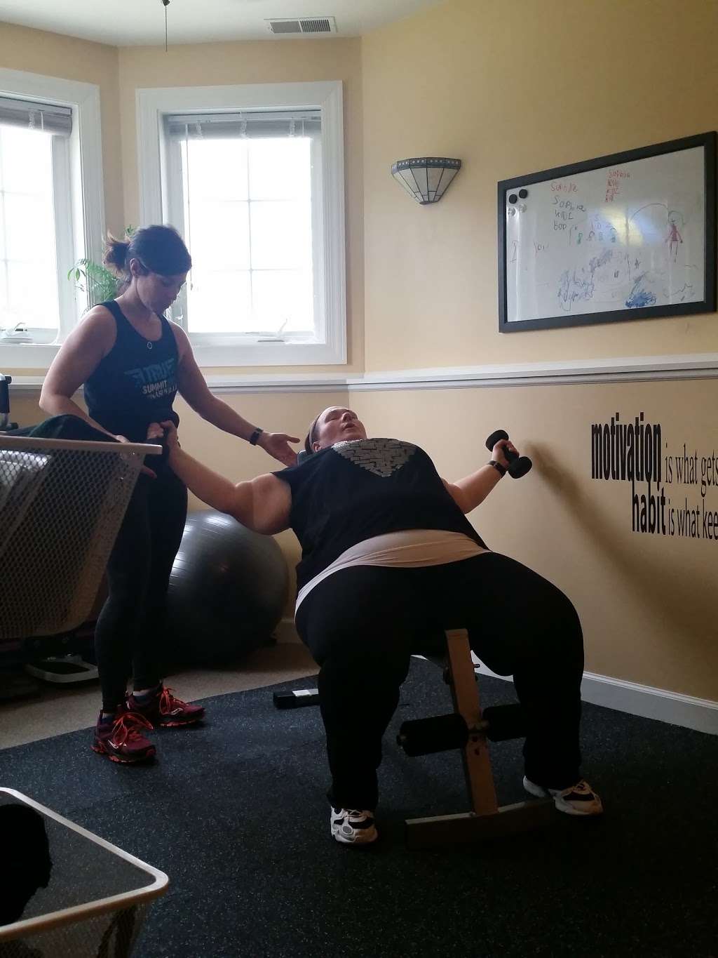 2FitSis In-Home Personal Training Studio | 1251 Wind Energy Pass, Batavia, IL 60510 | Phone: (630) 988-0170