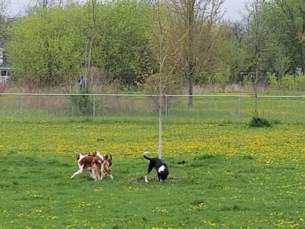 Jean Jacobson Dog Park | 304 S Rochester St, Burlington, WI 53105, USA