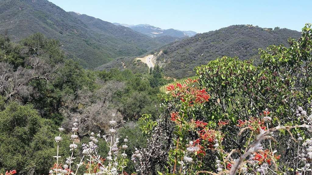 Backbone Trailhead | Backbone Trail, Malibu, CA 90265, USA | Phone: (805) 370-2301