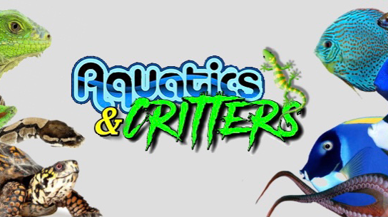 Aquatic Supply & Critters | 1913 Wildwood St, Boise, ID 83713, USA | Phone: (208) 914-1097