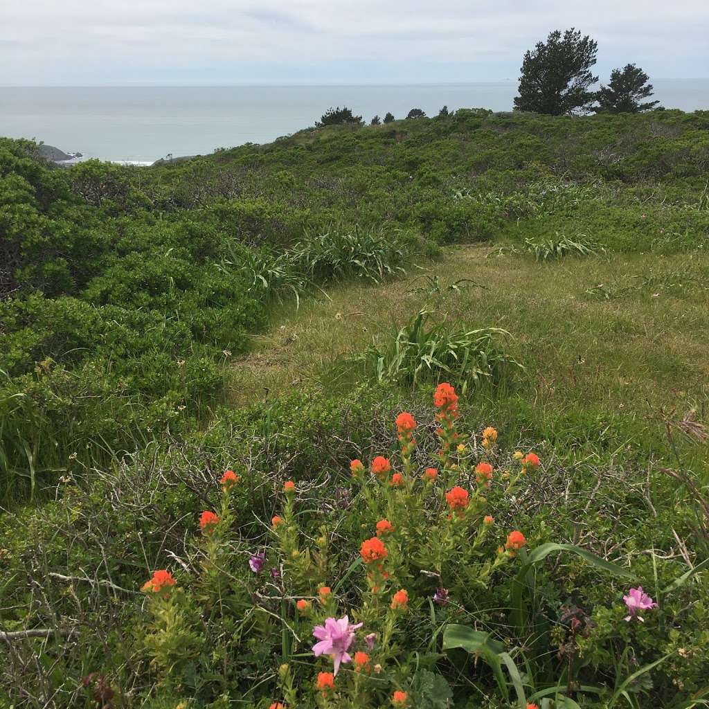 Mori Ridge Trail Trailhead | Mori Ridge Rd, Pacifica, CA 94044, USA