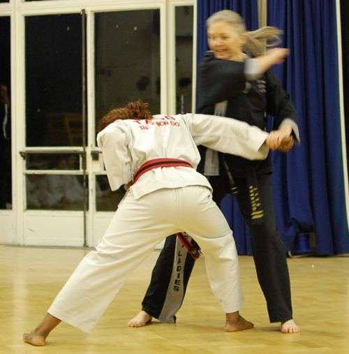 Enfield School of Tae Kwon Do | Grange Park School,, Worlds End Ln, London N21 1PP, UK | Phone: 07967 128420