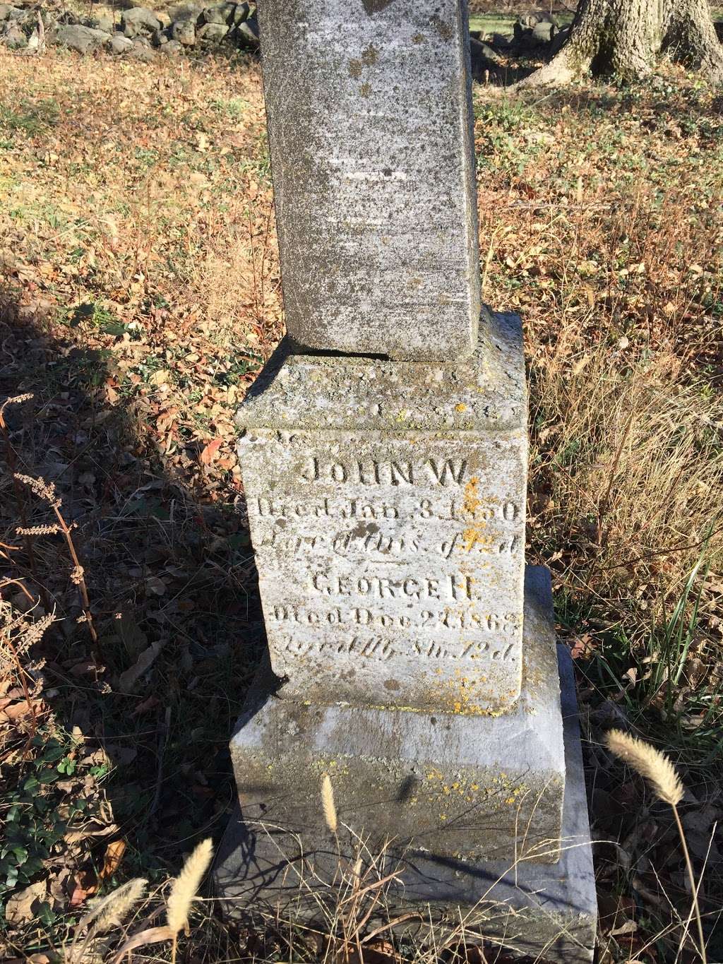 Lyons Family Civil War Era Cemetary | Ashburn, VA 20148, USA