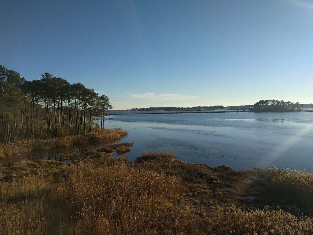 Assawoman Bay Lookout Point | Unnamed Rd,, Frankford, DE 19945, USA