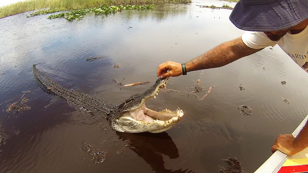 Tigertail Airboat Tours | US-41, Miami, FL 33184, USA | Phone: (305) 439-2745