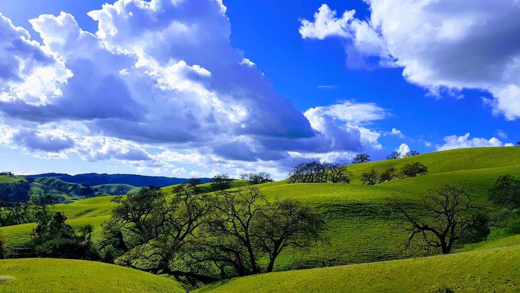 Sycamore Valley Open Space South | Danville, CA 94506, USA