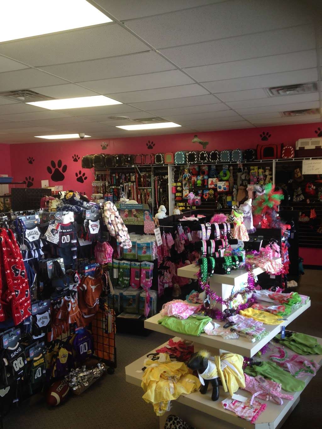 Paradise Fish and Pets | 5344 FM 1960, Atascocita, TX 77346, USA | Phone: (832) 644-5025