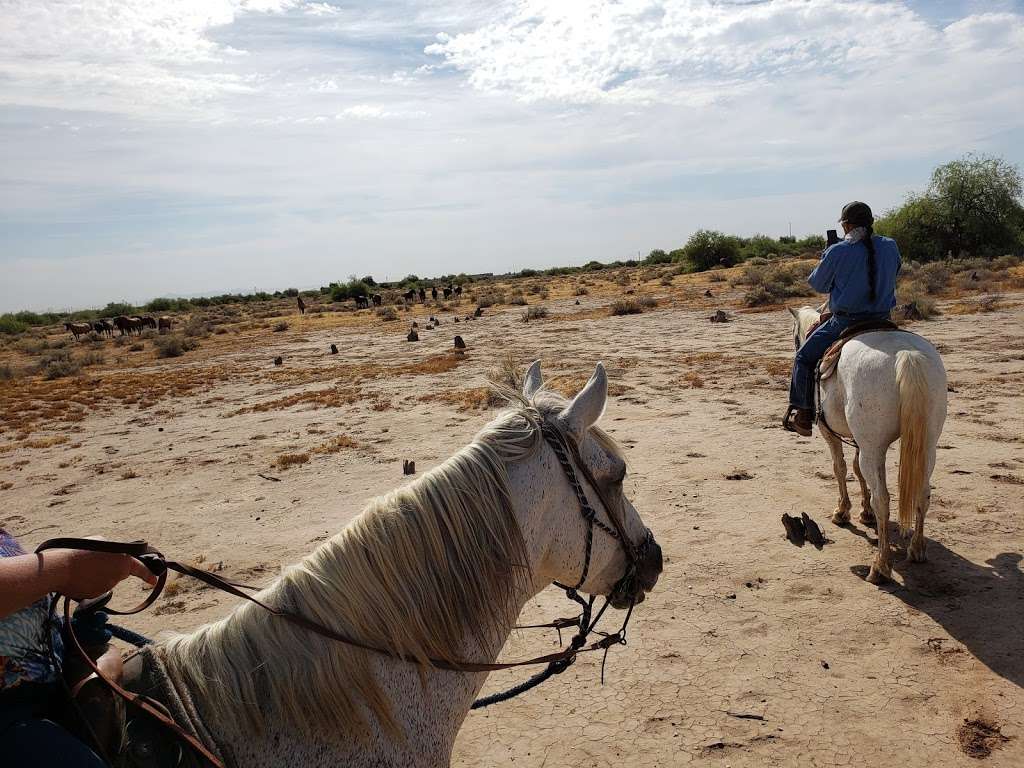 KOLI Equestrian Center | 6940 W BROKEN EAR RD, Chandler, AZ 85226, USA | Phone: (602) 796-3495