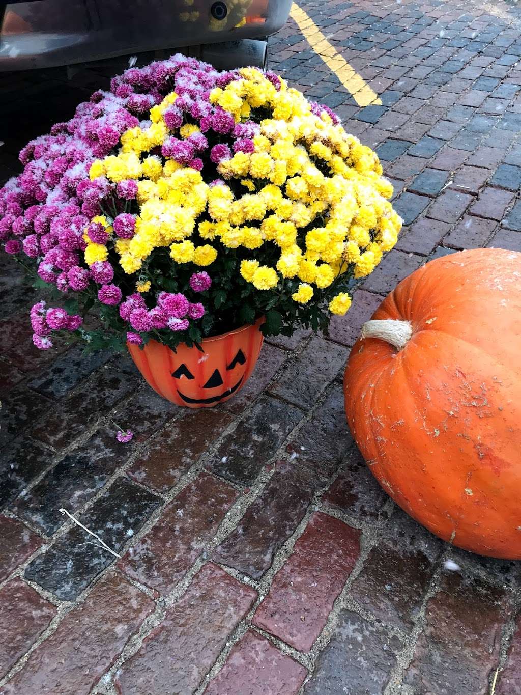 Barlow Farms LLC - Mums, Pumpkins & Gourds | 551 Clinton St, Osborn, MO 64474 | Phone: (816) 449-8082