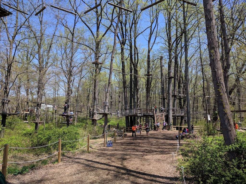 The Adventure Park at Sandy Spring | 16701 Norwood Rd, Sandy Spring, MD 20860, USA | Phone: (240) 389-4386
