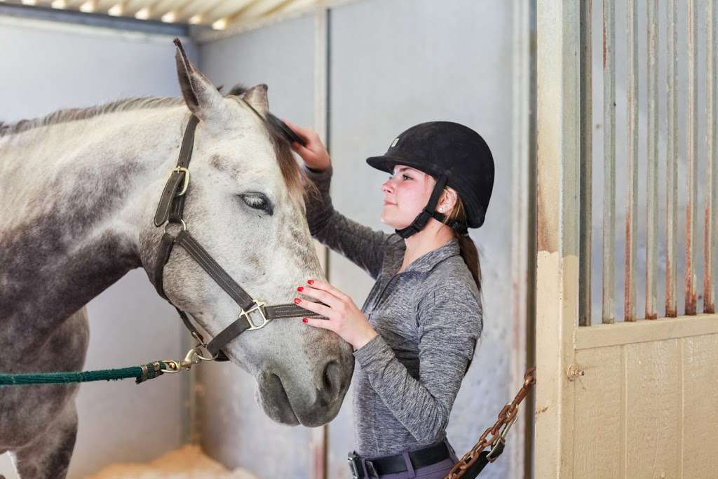 Belmont Training Stable | 2 School Way, Watsonville, CA 95076, USA | Phone: (831) 206-9707