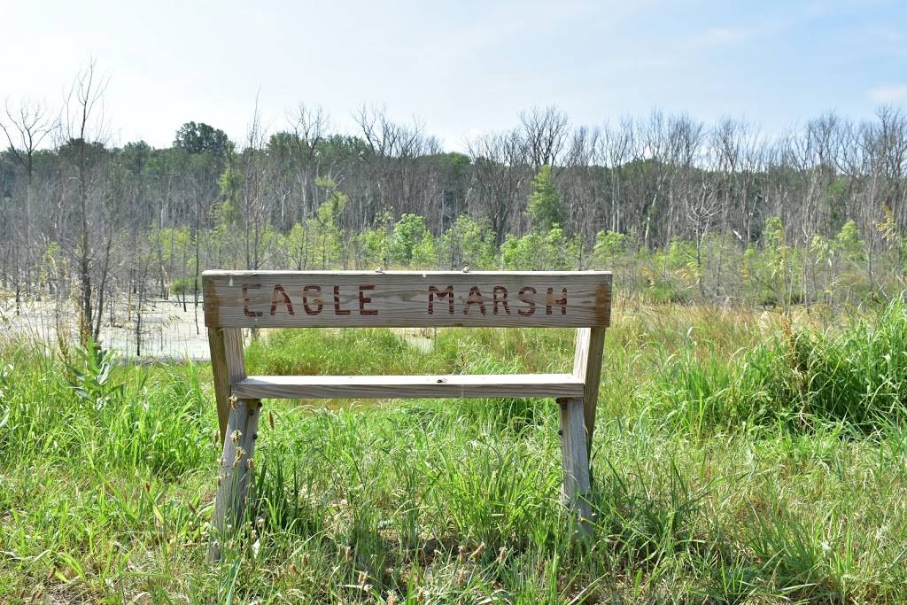 Eagle Marsh Nature Preserve | 6801 Engle Rd, Fort Wayne, IN 46804, USA | Phone: (260) 478-2515