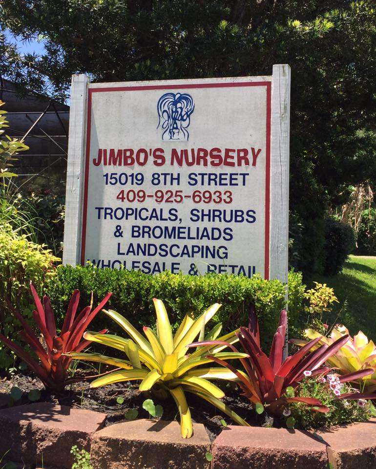 Jimbos Nursery | 15019 8th St West, Santa Fe, TX 77517, USA | Phone: (409) 925-6933