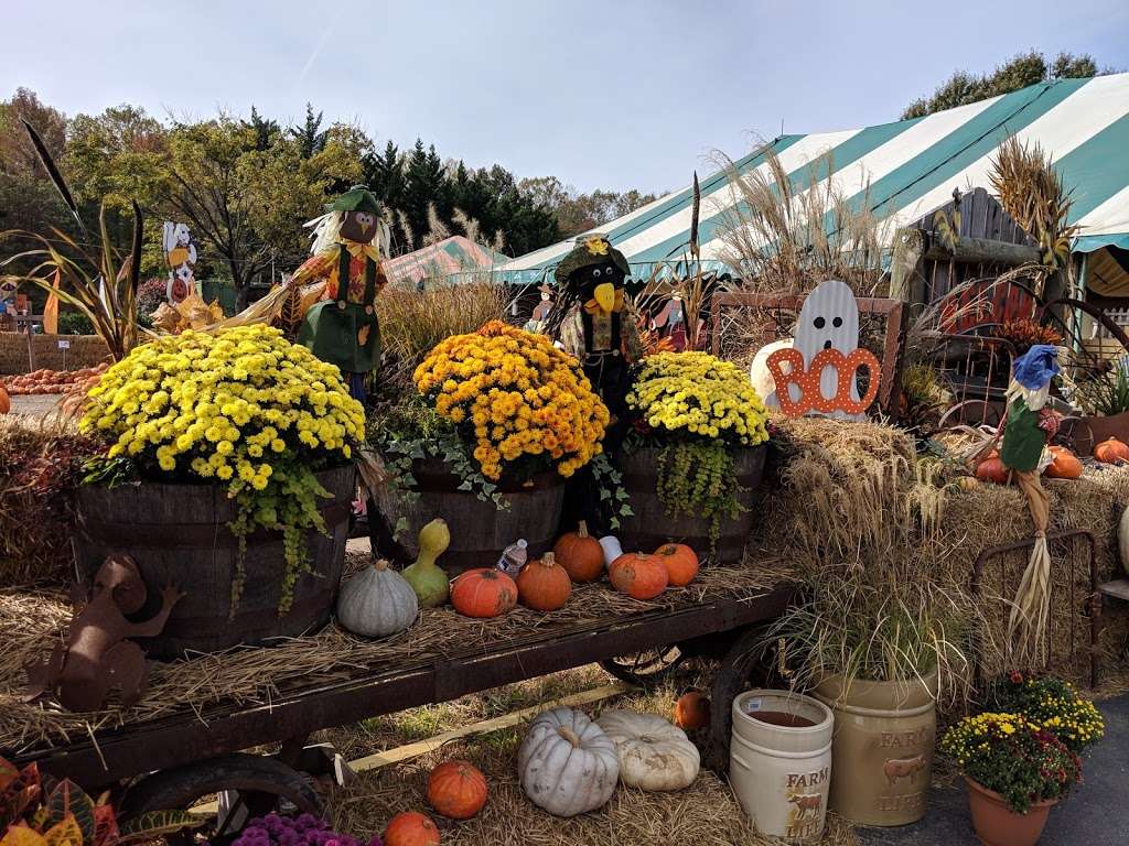 Burke Nursery & Garden Centre | 9401 Burke Rd, Burke, VA 22015 | Phone: (703) 323-1188