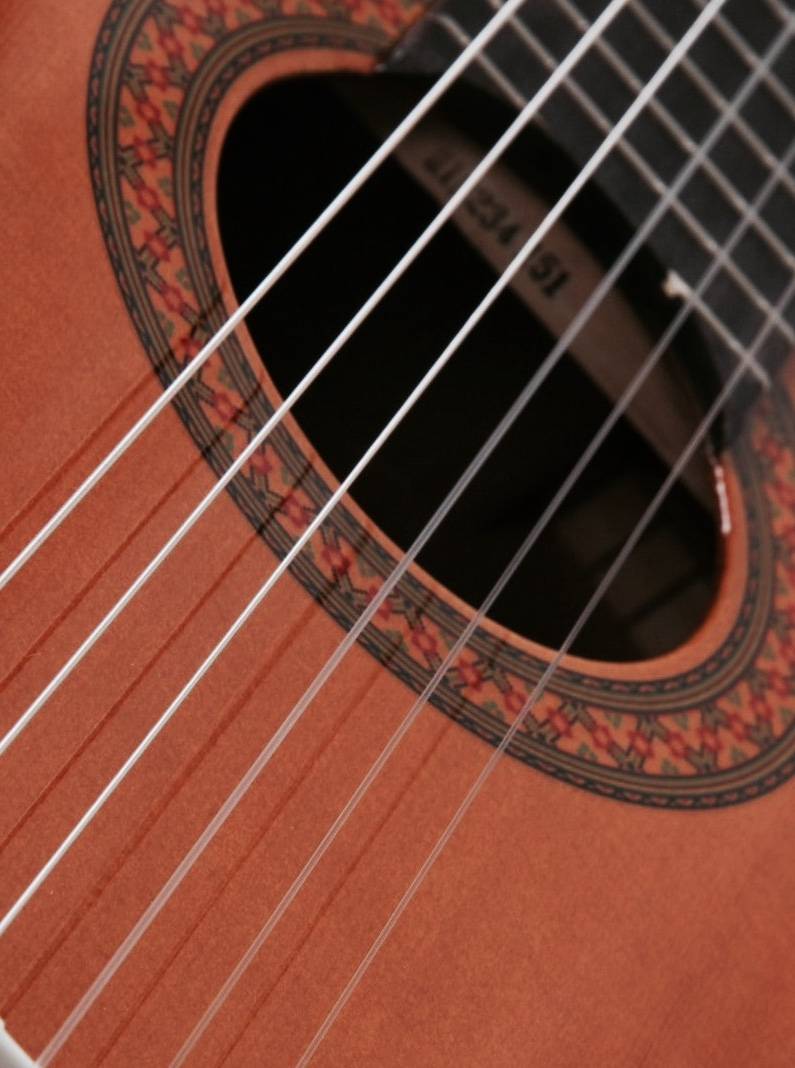 Caryclassicalguitar.com | 815 Burnaby Ct, Cary, NC 27519, USA | Phone: (919) 923-6986