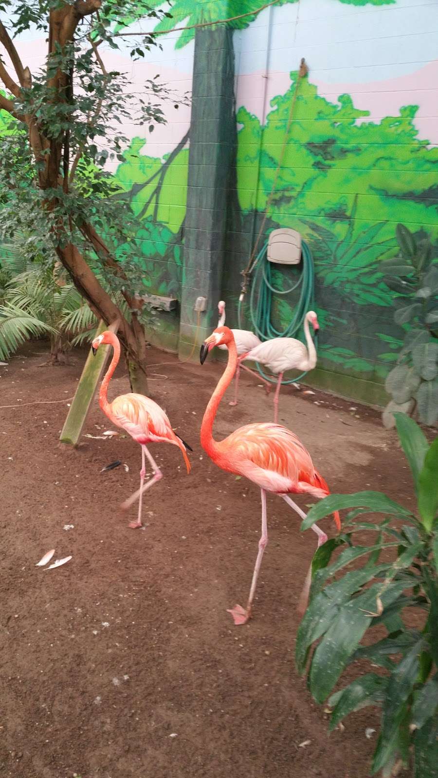 World of Birds Aviary | 707 U.S. 9, Cape May Court House, NJ 08210