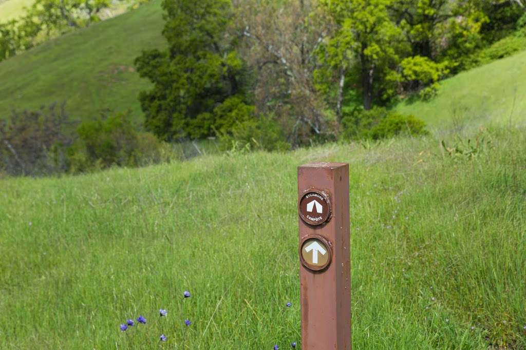 Sycamore Camp | Ohlone Wilderness Trail, Sunol, CA 94586, USA