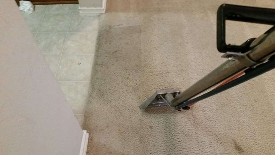 Archer Carpet Cleaning | 19506 Gladewater Dr, Tomball, TX 77375 | Phone: (281) 357-1297