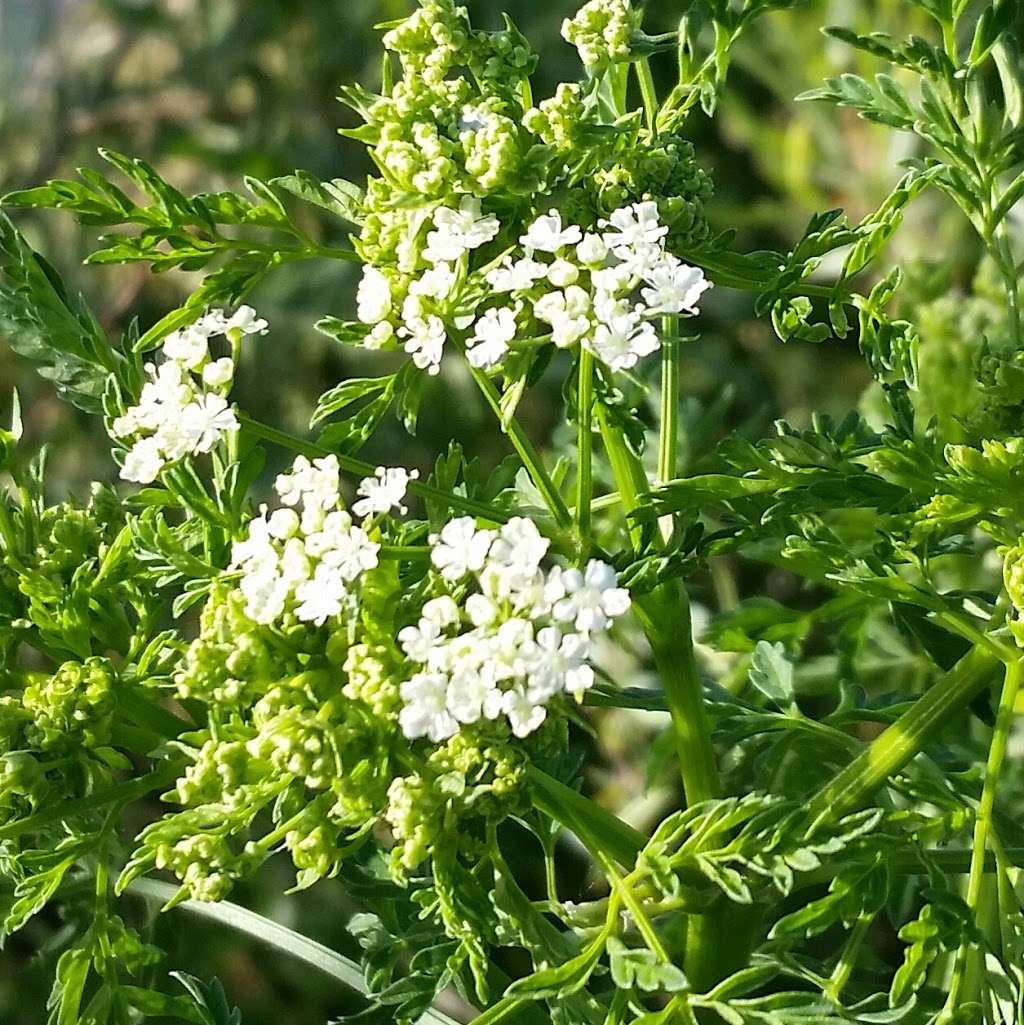 1st Gold Spot | 2984 E 74th Ave, Denver, CO 80229, USA