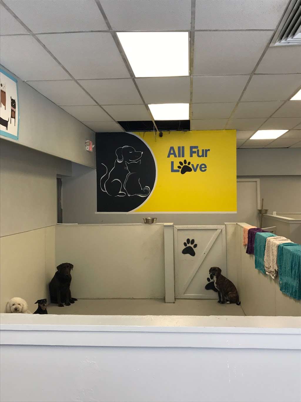 All Fur Love Pet Grooming | 126 Main St, Medway, MA 02053, USA | Phone: (508) 533-6228