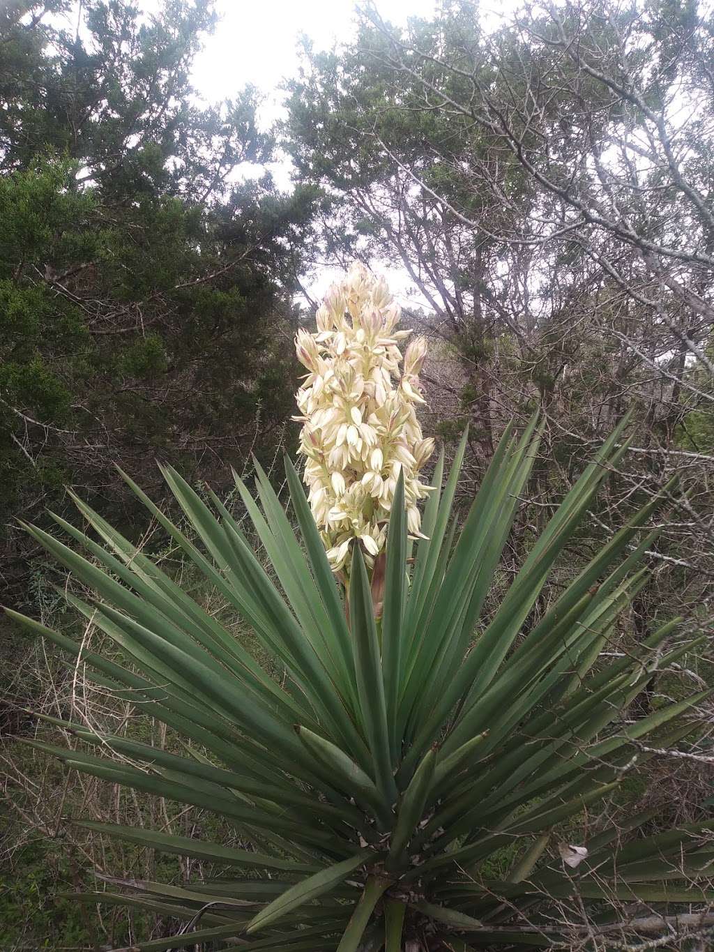 Frontcountry Trailhead | Lytles Loop, San Antonio, TX 78254