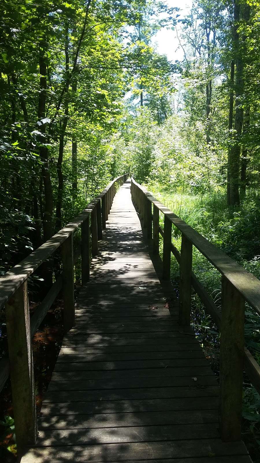 Beanblossom Bottoms Nature Preserve - Sycamore Land Trust | N Woodall Rd, Ellettsville, IN 47429 | Phone: (812) 336-5382