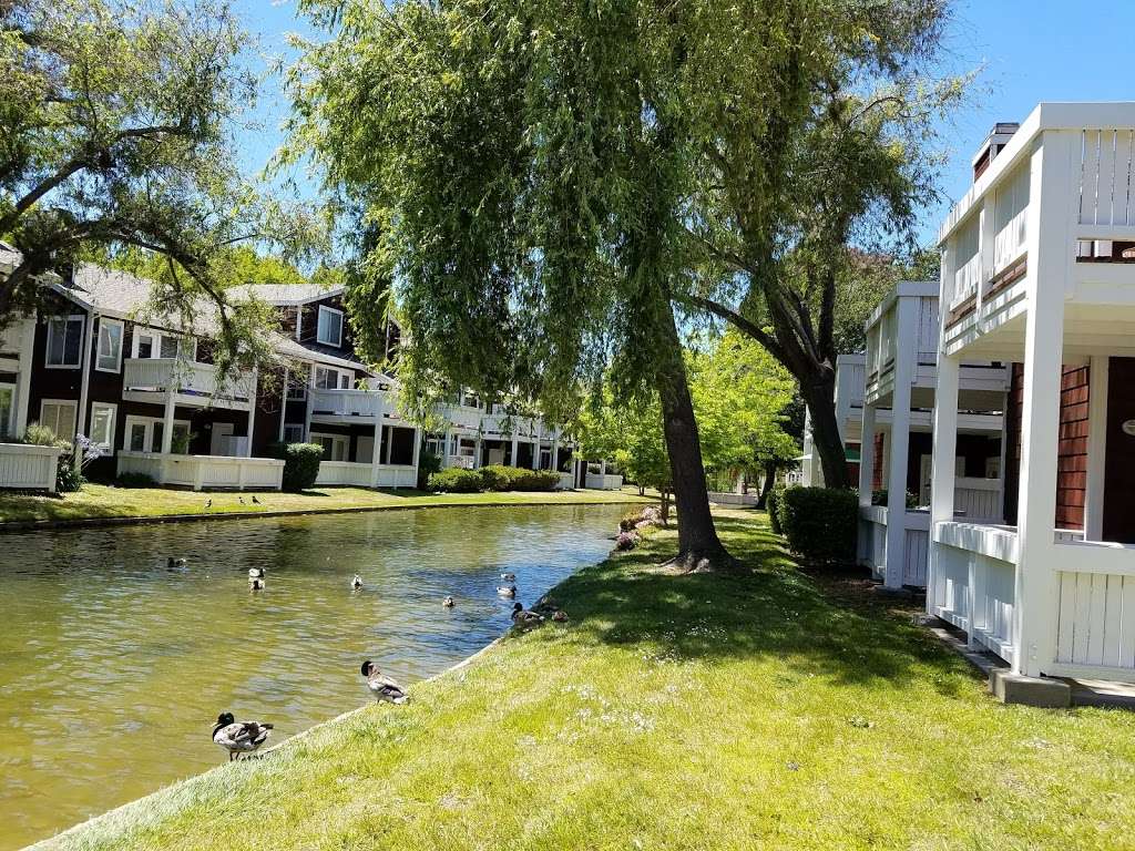 Marina Bay Community | 1 Marina Lakes Dr, Richmond, CA 94804, USA | Phone: (510) 235-2244