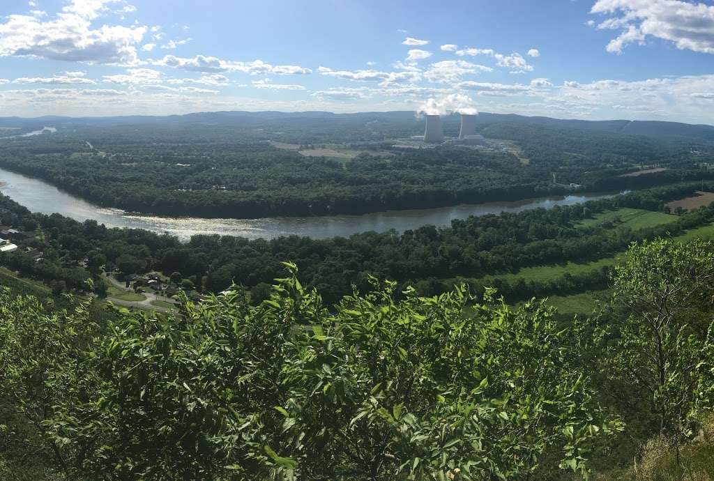 Council Cup | Mountain Top, PA 18707, USA