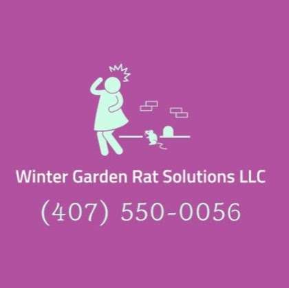 Winter Garden Rat Solutions LLC | 643 Lake Beulah Cove, Winter Garden, FL 34787 | Phone: (407) 550-0056