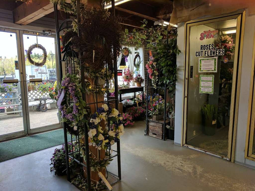 Leith Flower, Plant & Gift Shop | 100 Plaistow Rd, Plaistow, NH 03865, USA | Phone: (603) 382-8837