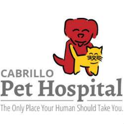 Grooming at Cabrillo Pet Hospital | 4138 Voltaire St, San Diego, CA 92107, USA | Phone: (619) 225-9684