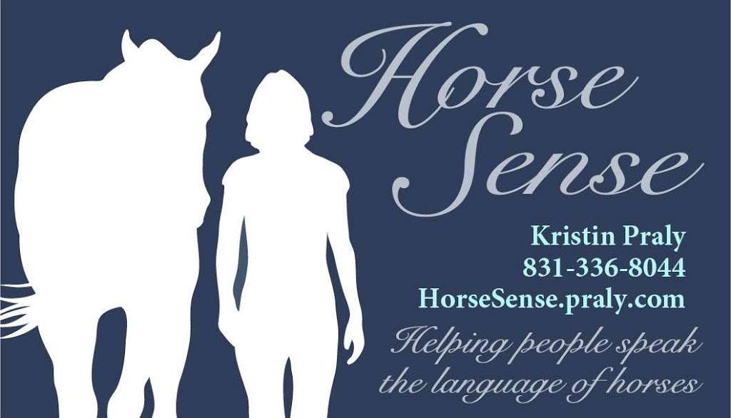 Horse Sense Education & Advocacy | Covered Bridge Equestrian Center, 220 Covered Bridge Rd N, Felton, CA 95018, USA | Phone: (831) 316-4773