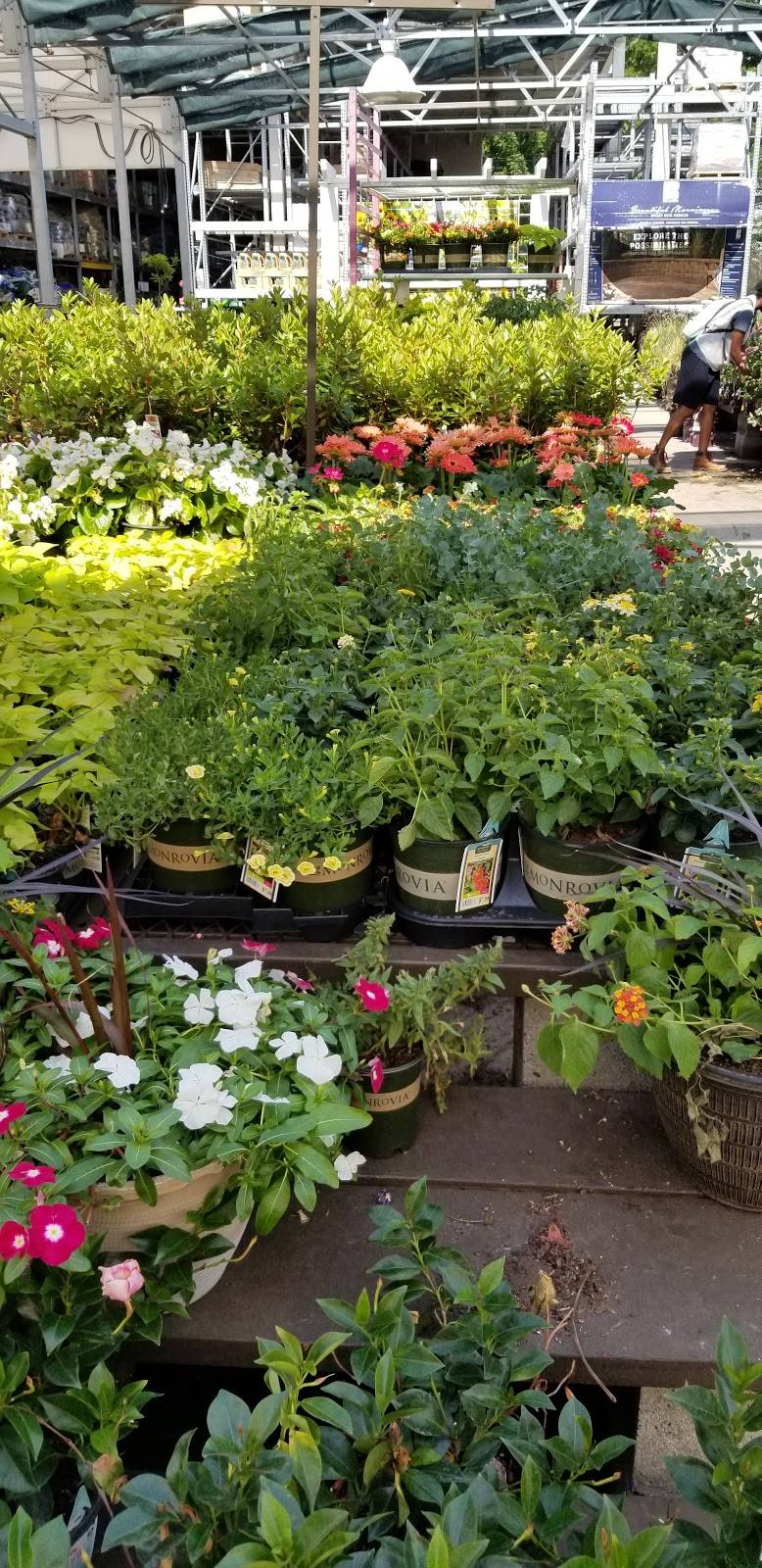 Lowes Garden Center | 1721 Morris Ave, Union, NJ 07083, USA | Phone: (908) 774-4240