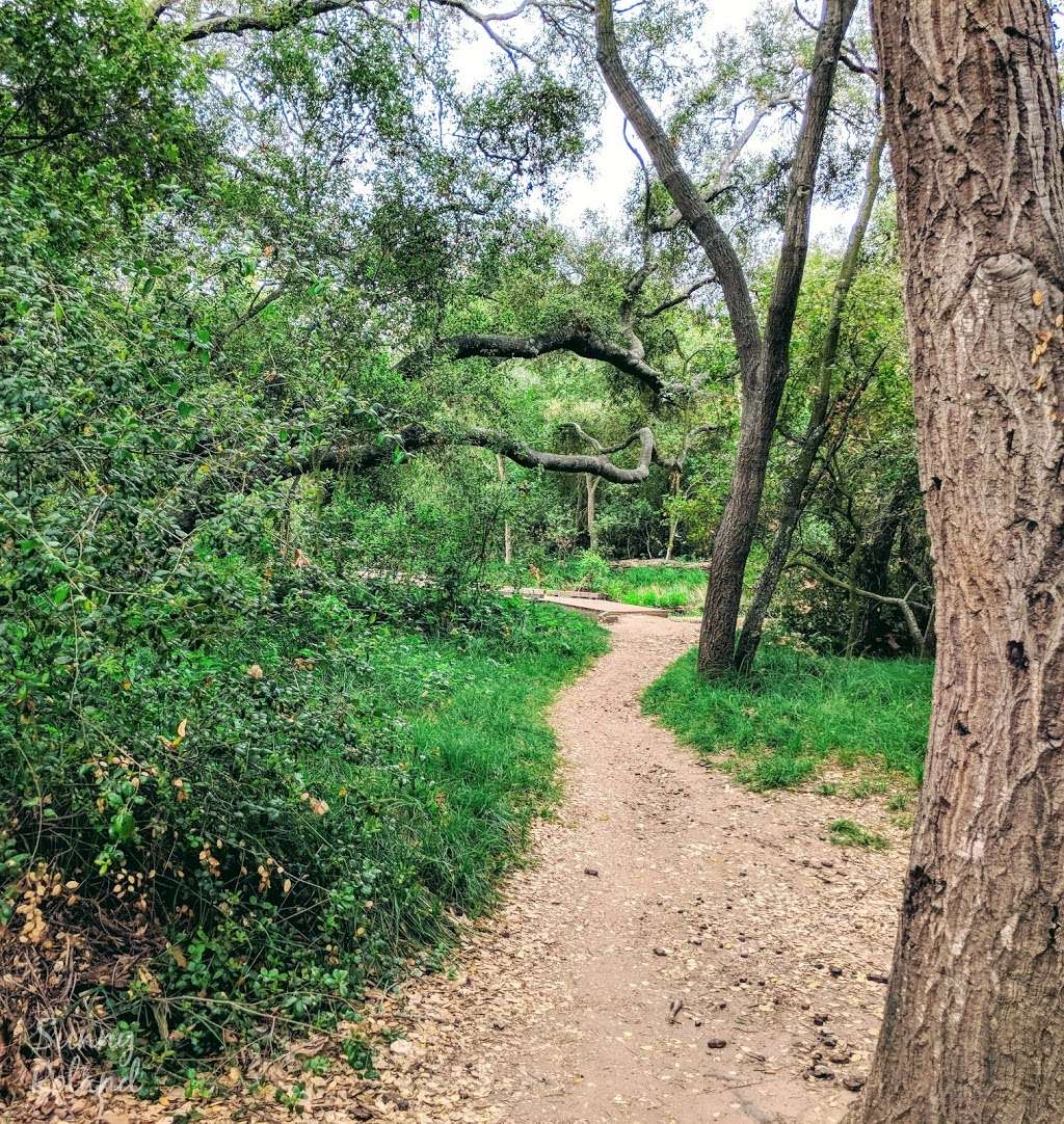 Los Peñasquitos Canyon Preserve | 12020 Black Mountain Rd, San Diego, CA 92129, USA | Phone: (619) 525-8213