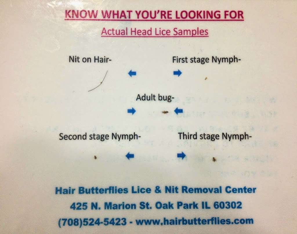 Hair Butterflies | 2023 N Harlem Ave, Chicago, IL 60707 | Phone: (708) 813-0523