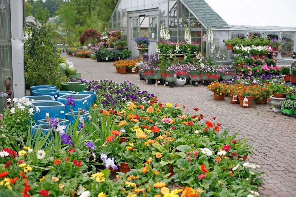 Mahoneys Garden Center | 1609 Main St, Tewksbury, MA 01876, USA | Phone: (978) 851-2712