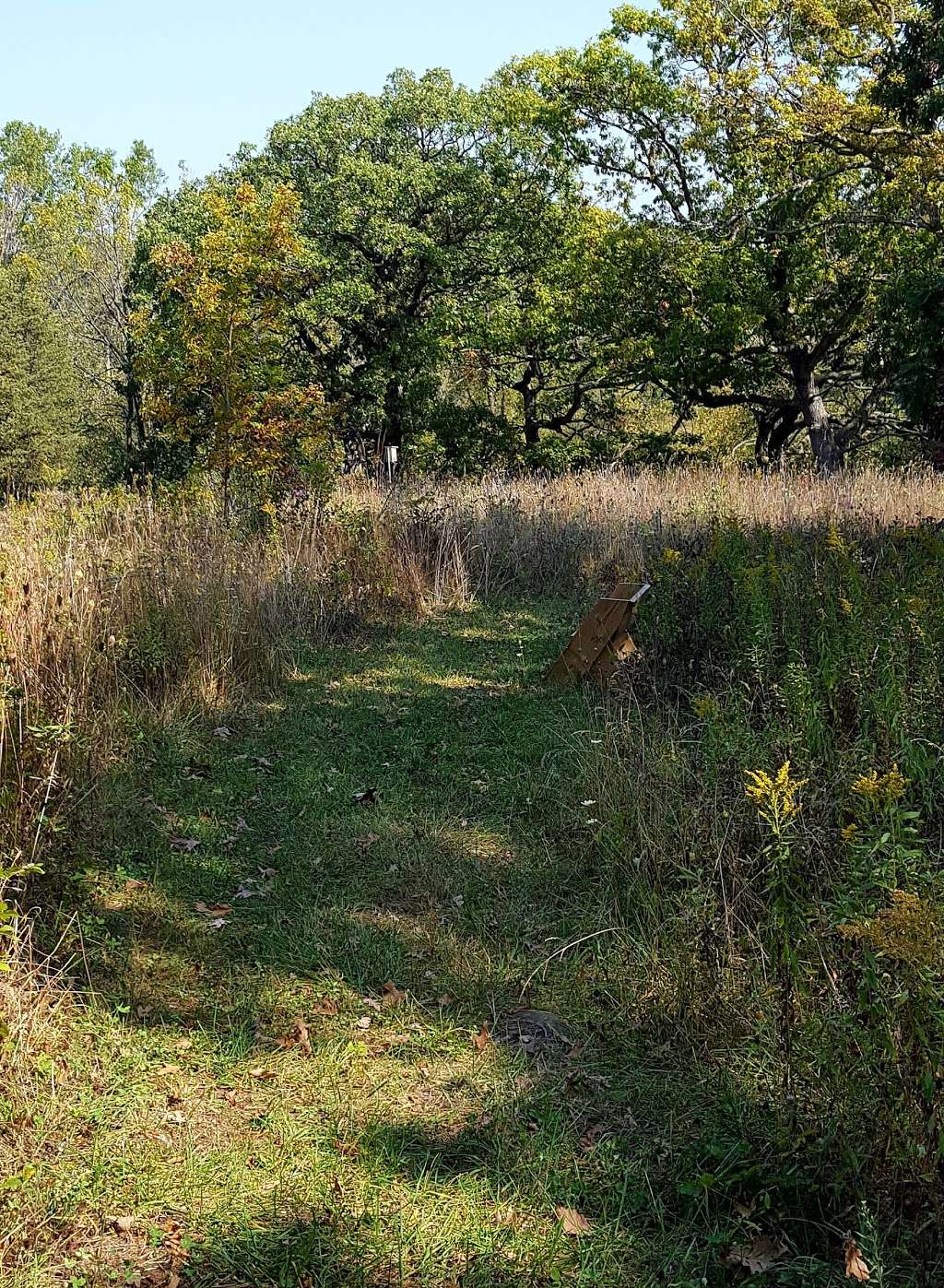 Badertscher Preserve | S74W20153, Field Dr, Muskego, WI 53150, USA